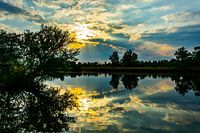 Golden Hour in the Biesbosch