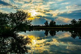 Golden Hour in the Biesbosch by Martin Van Berkel