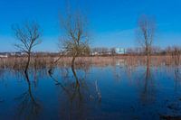 Water en lucht