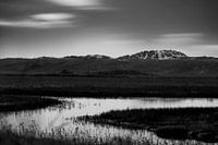 't Zwin landschap