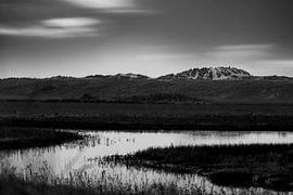 Die Zwin-Landschaft von Lisa Dumon