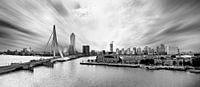 Panorama Rotterdam van Henk Langerak thumbnail