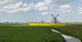 Groot-Ammers, Ammerse Kade in het voorjaar.