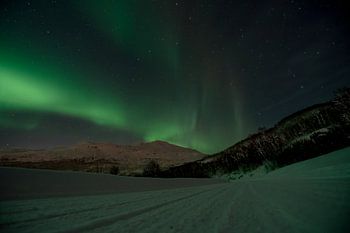 Noorderlicht