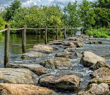 Oversteekplaats met stapstenen bij de Molenplas