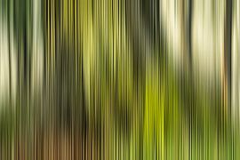 Texturen