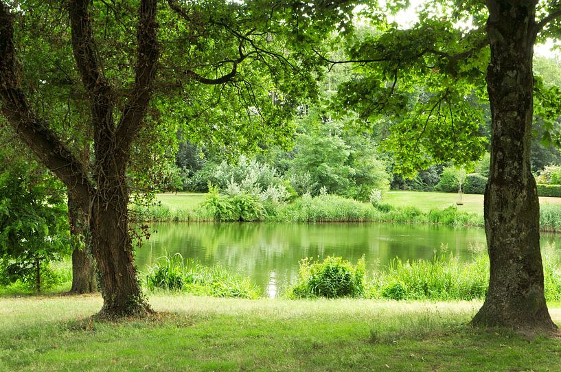 View of pond in park by Corinne Welp