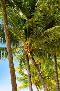 Day at the beach by Robin Schalk