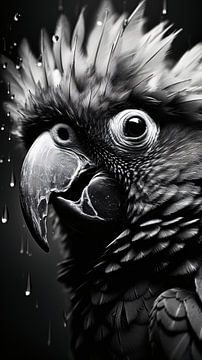 Bird portrait in black and white minimalist wildlife art