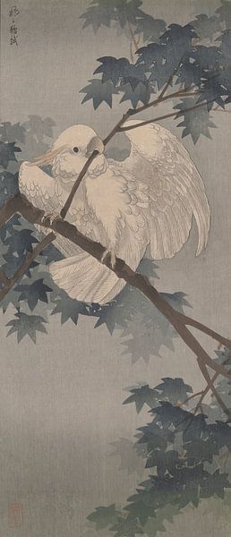 Ohara Koson - Gelbhaubenkakadu im Baum (bearbeitet) von Peter Balan