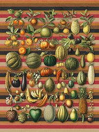 a Collection of Healthy Foods sur Marja van den Hurk