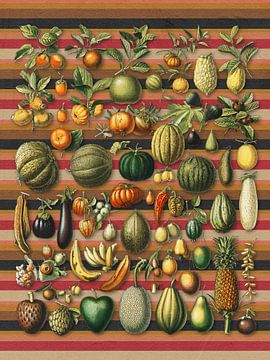 a Collection of Healthy Foods van Marja van den Hurk