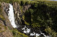 Waterfall in Skaftafell National Park sur Louise Poortvliet Aperçu