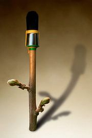 Le printemps se dessine 4/4 van Ben Goossens