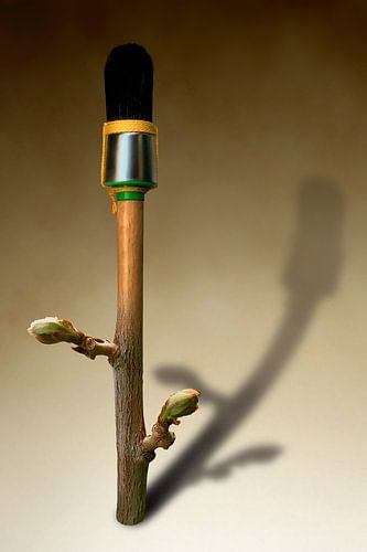 Le printemps se dessine 4/4