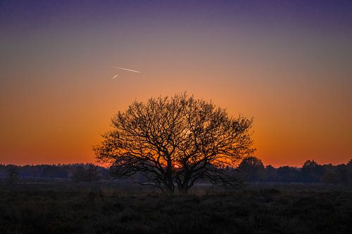 Ondergaande zon