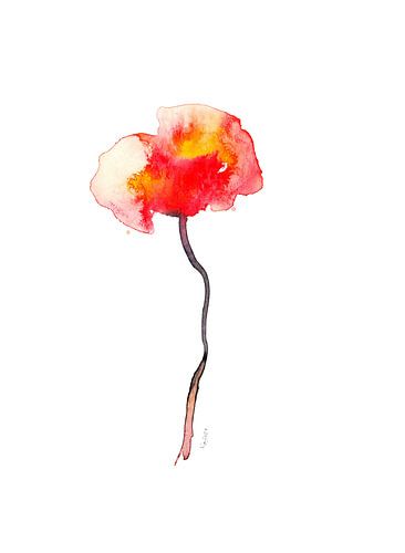 Coquelicot individuel