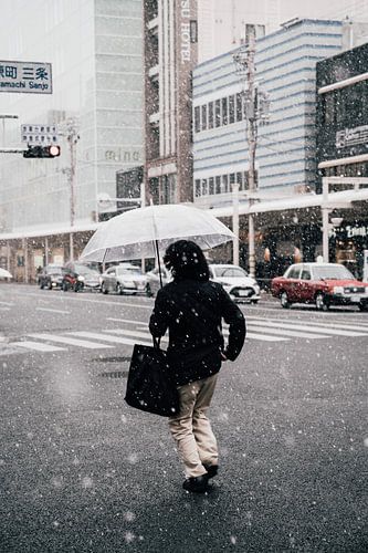 Umbrella in the Snow
