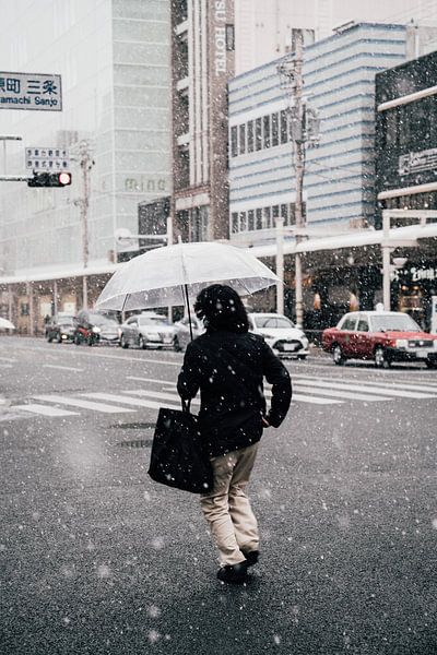 Umbrella in the Snow by Joep Gräber