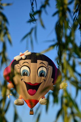 Vrolijke luchtballon