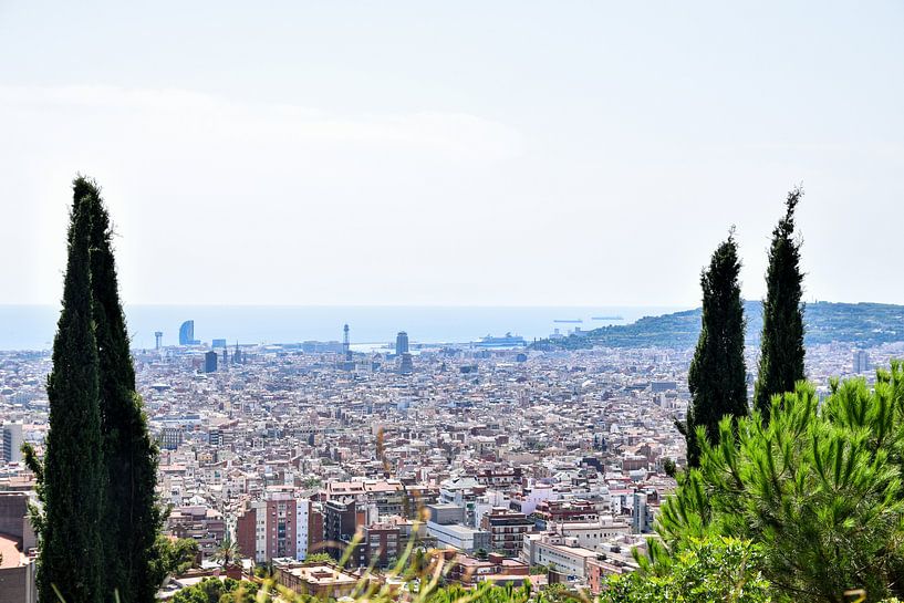 Blick über Barcelona von Maria-Maaike Dijkstra