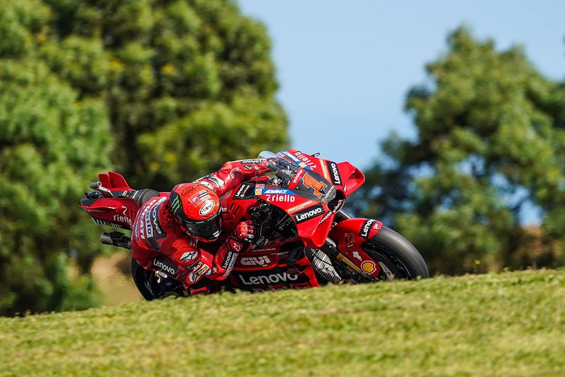 Weltmeister Francesco &quot;Pecco&quot; Bagnaia von Marco Dek