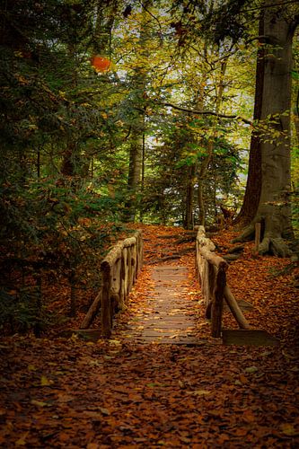 Brug op Landgoed Fraeylemaborg, Groningen