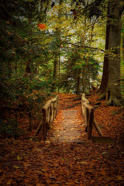Brug op Landgoed Fraeylemaborg, Groningen van Merel Pape Photography
