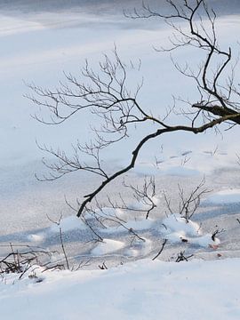 Winters stilleven van Lotte Veldt