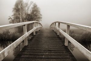 le pont sur Yvonne Blokland