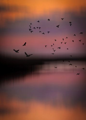 Farben des Nordens 2