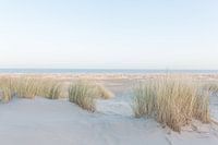 Wattenmeer bei Sonnenuntergang