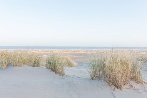 Waddenstrand op de vroege morgen