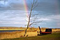 Magical rainbow at the Oderbruch by Silva Wischeropp thumbnail
