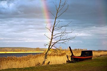 Magical rainbow at the Oderbruch by Silva Wischeropp