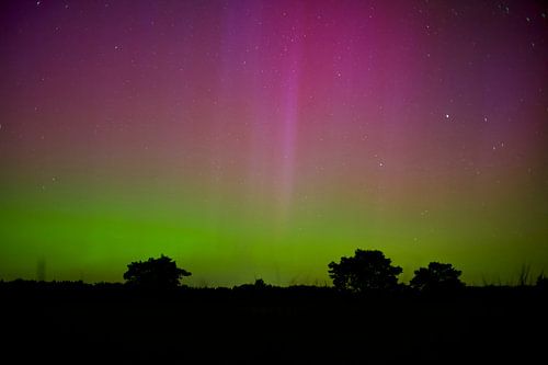 Noorderlicht in Havelte (Holtingerveld)