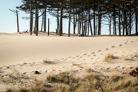 Voetafdrukken in het duinzand van Studio Mirabelle