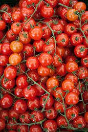 Tomatoes by Robin Groen