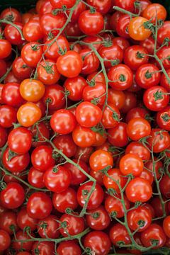 Tomatoes van Robin Groen