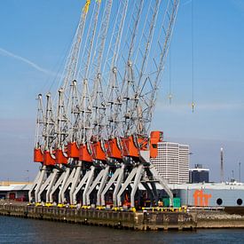 Rotterdam, havenkranen von Arnoud Kunst