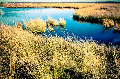 Engbertsdijksvenen (2)