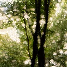 A dancing tree by Gerard de Zwaan