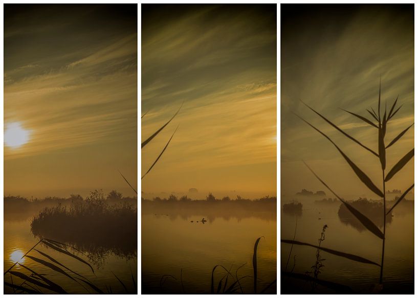lauwersmeer drieluik 12 van anne droogsma