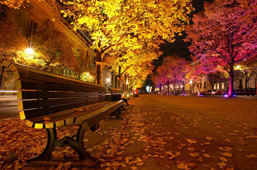 Unter den Linden von Frank Herrmann