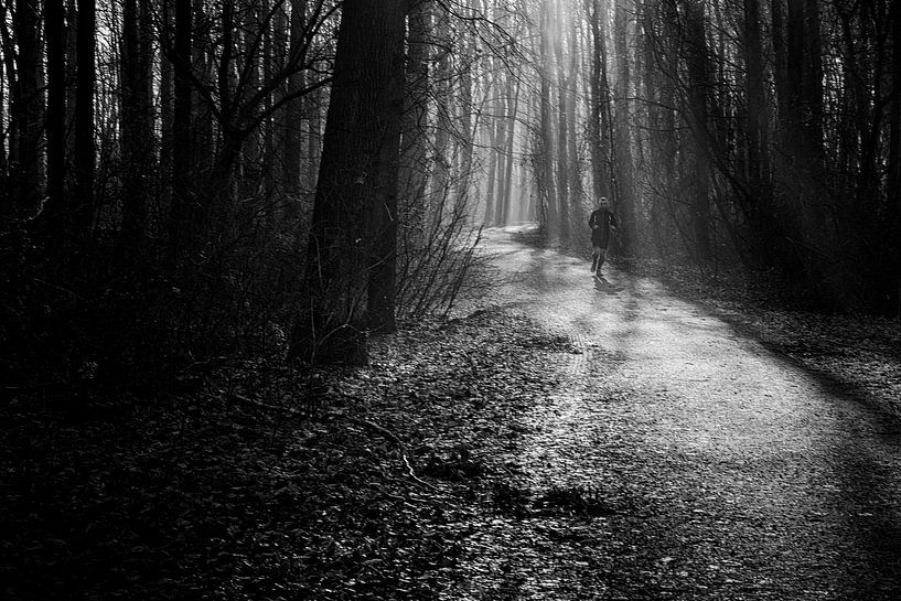 Amsterdamse bos van marjolein Parijs