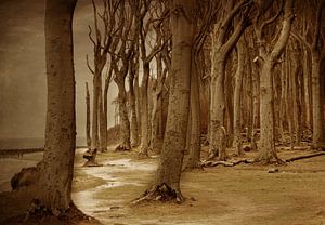 Der Gespensterwald