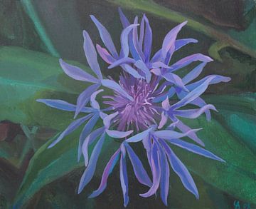 Blauwe bloem van Anastasia Chernysheva