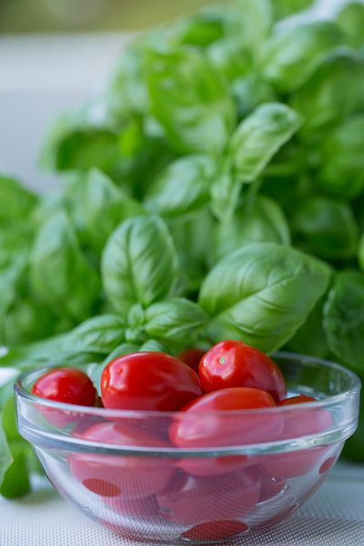 Tomaten und Basilikum von Martina Weidner