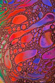 Wilde Kleuren van Ellen Pruiksma