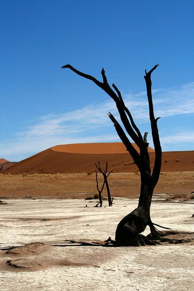 Deathvlei Namibië van Saskia van den Berg Fotografie